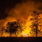 Reckless Burning in California