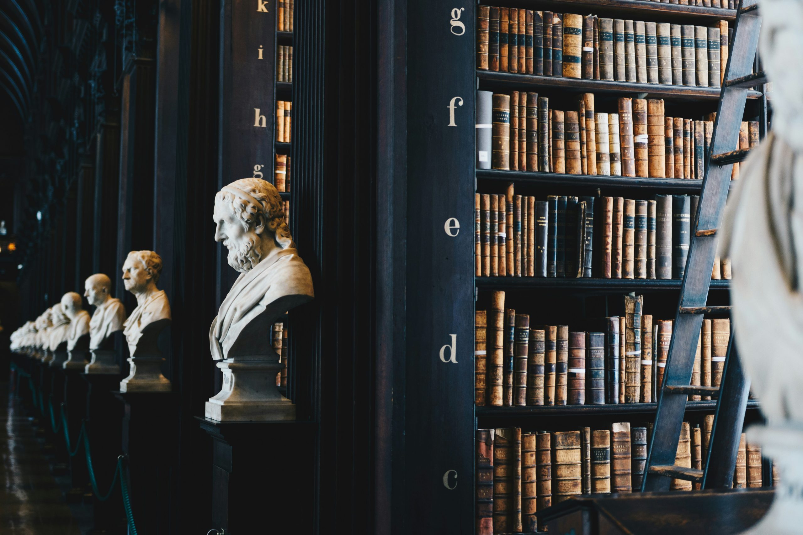 Business Law and Business Litigation Law Firm - Contact Us