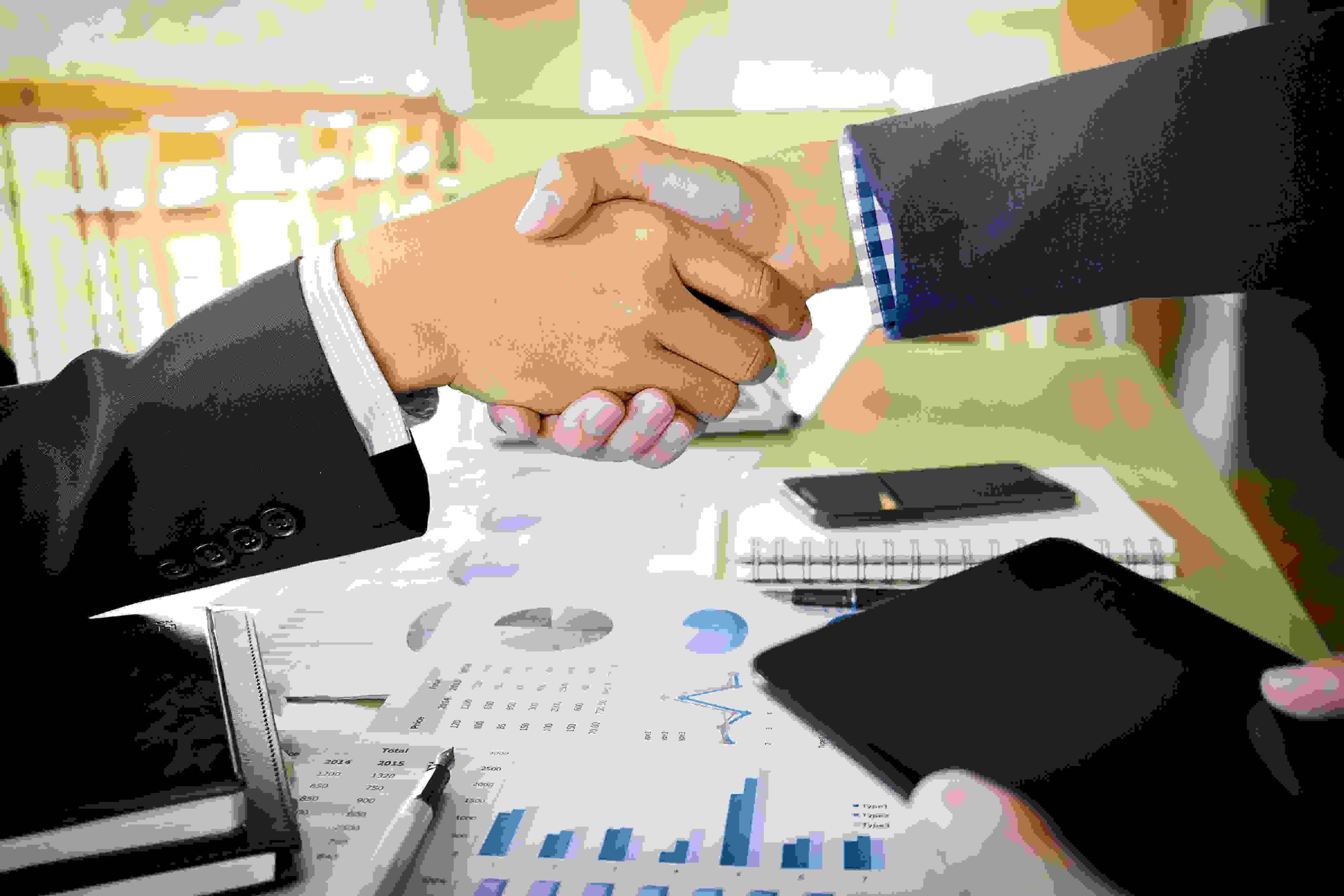 Maximize Profit in Business Acquisition and Sale