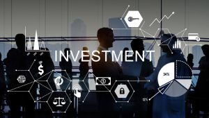 What is a Public Company? A Comprehensive Guide