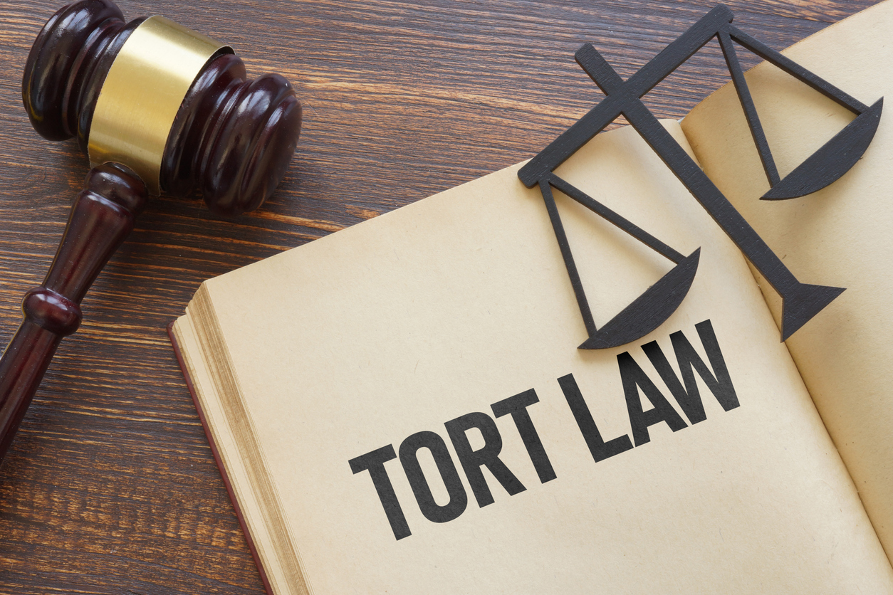 What is tort law? What is a tort?